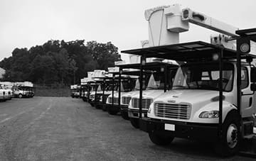 Forestry Bucket Trucks