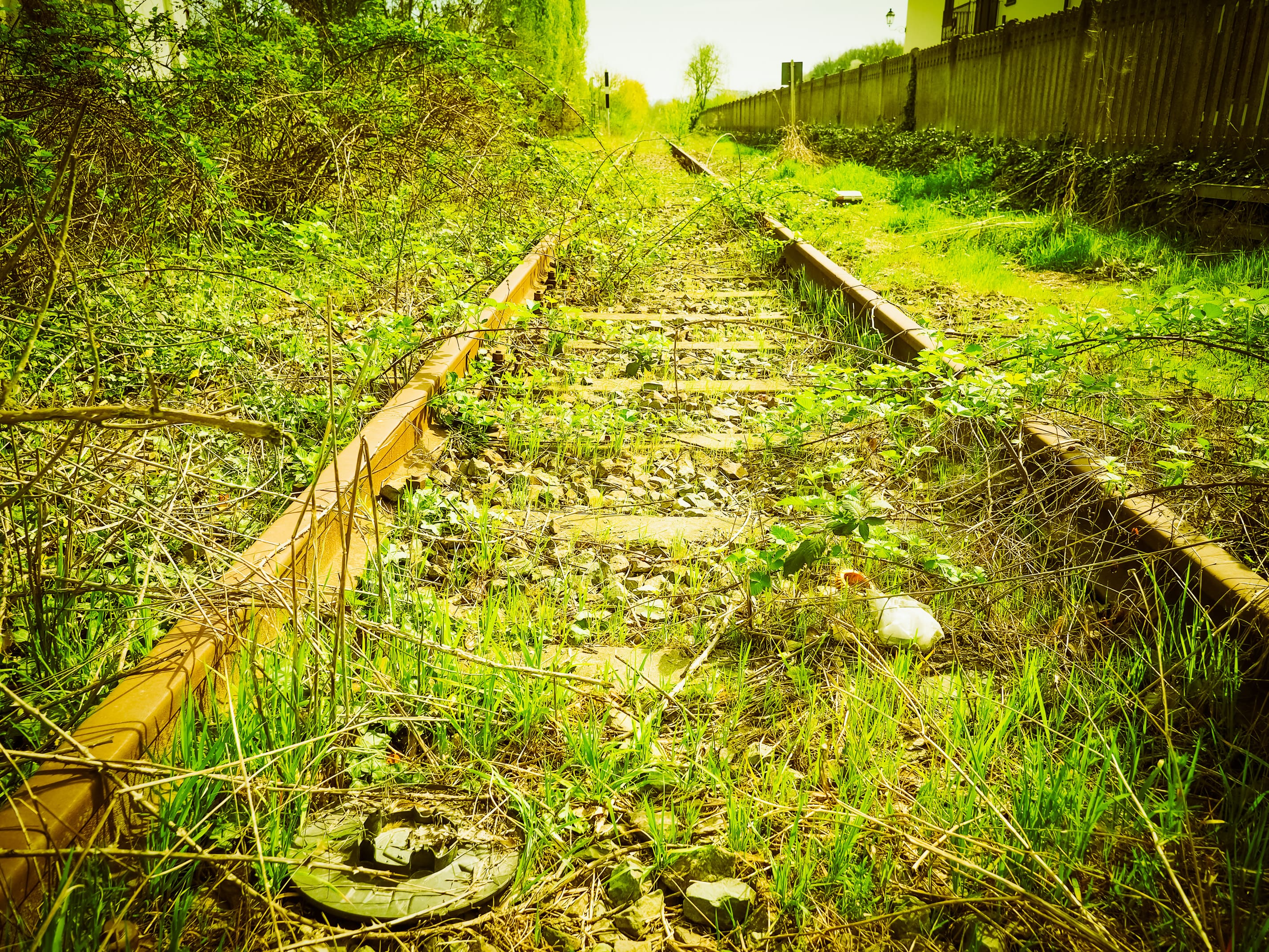 Railroad Vegetation Management