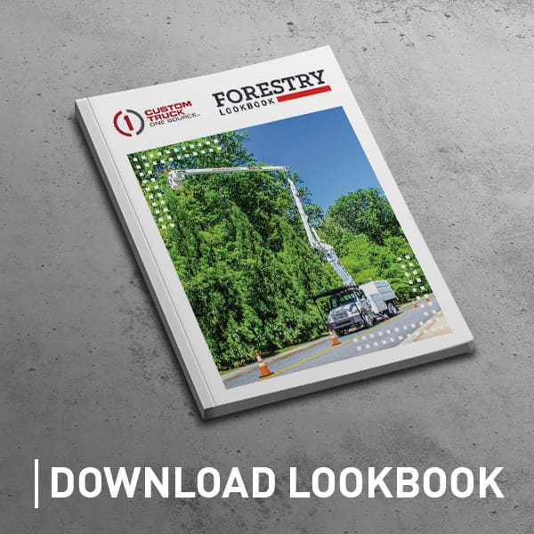 Forestry Lookbook