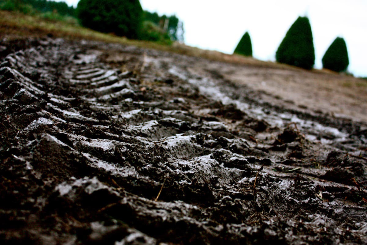 Track Marks in the Mud