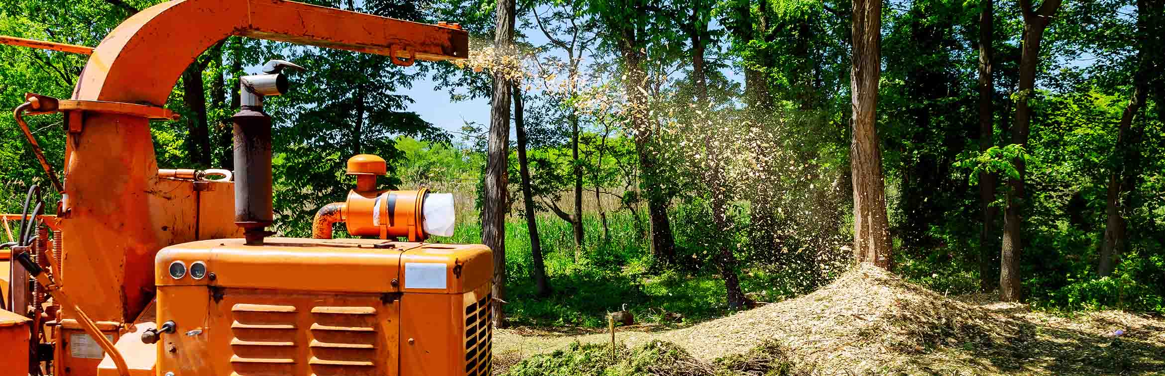 Need A Wood Chipper Here S What To Know Before You Buy