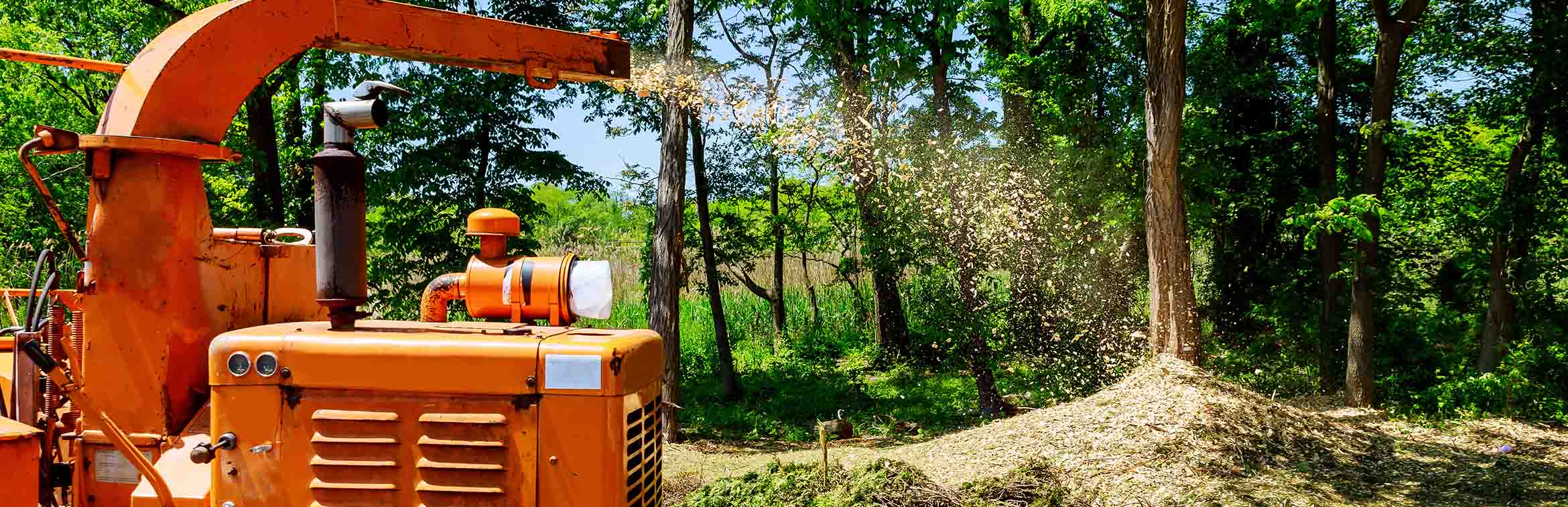 Wood Chipper Shooting Chips