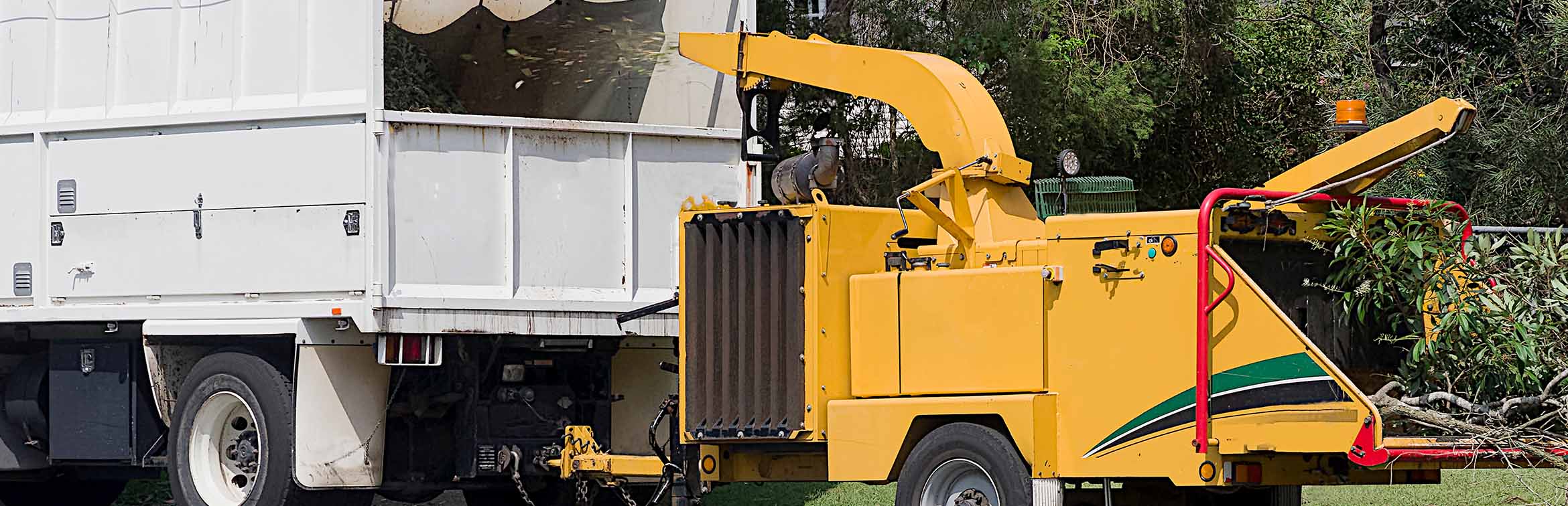 Need A Wood Chipper Here S What To Know Before You Buy