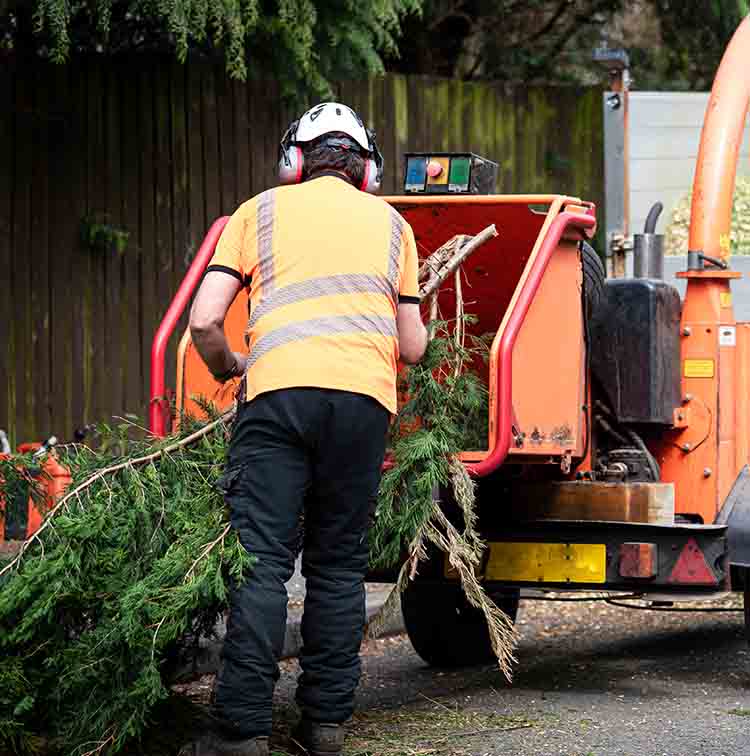 Wood Chipper Safety