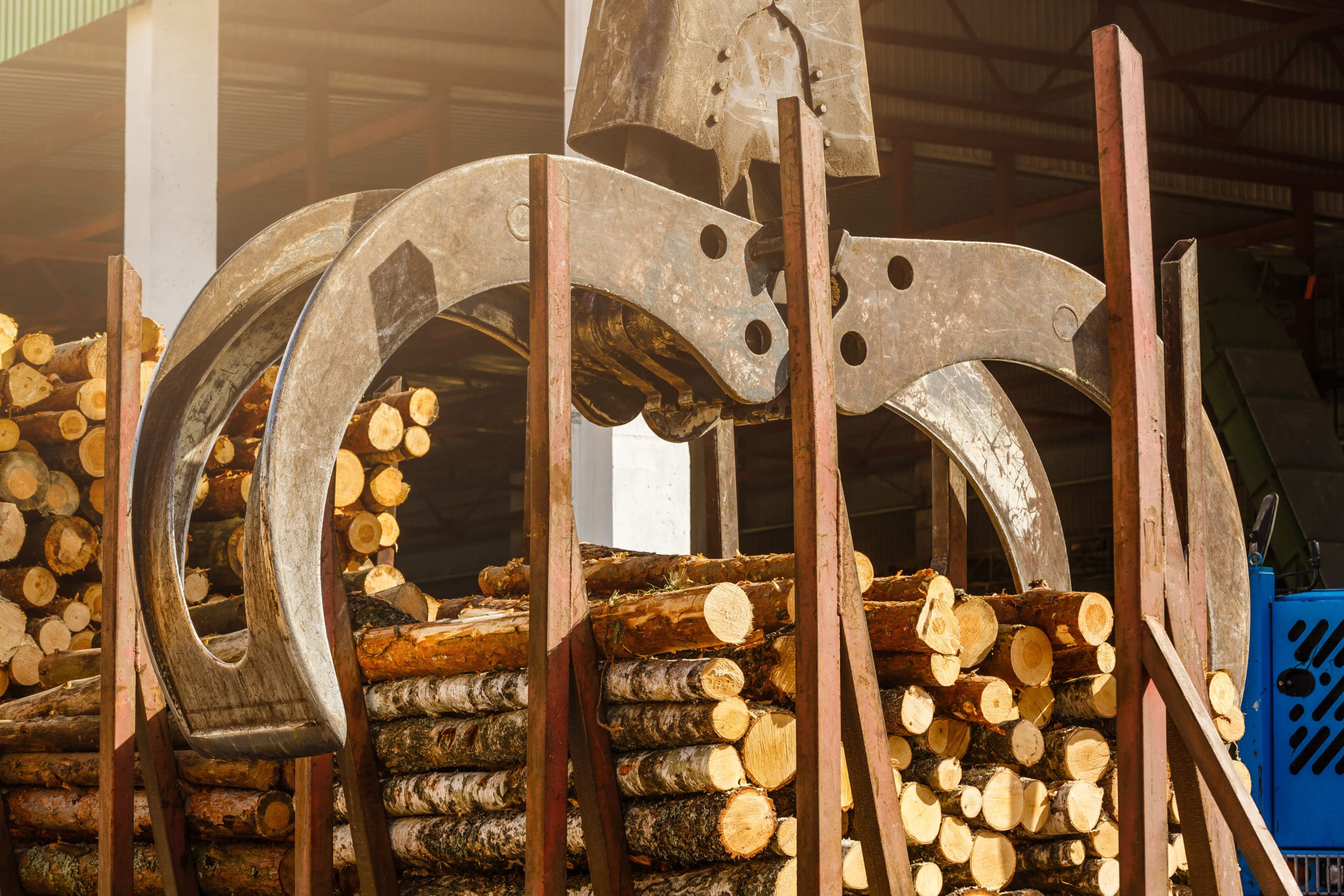 bunching grapple attachment picking up logs