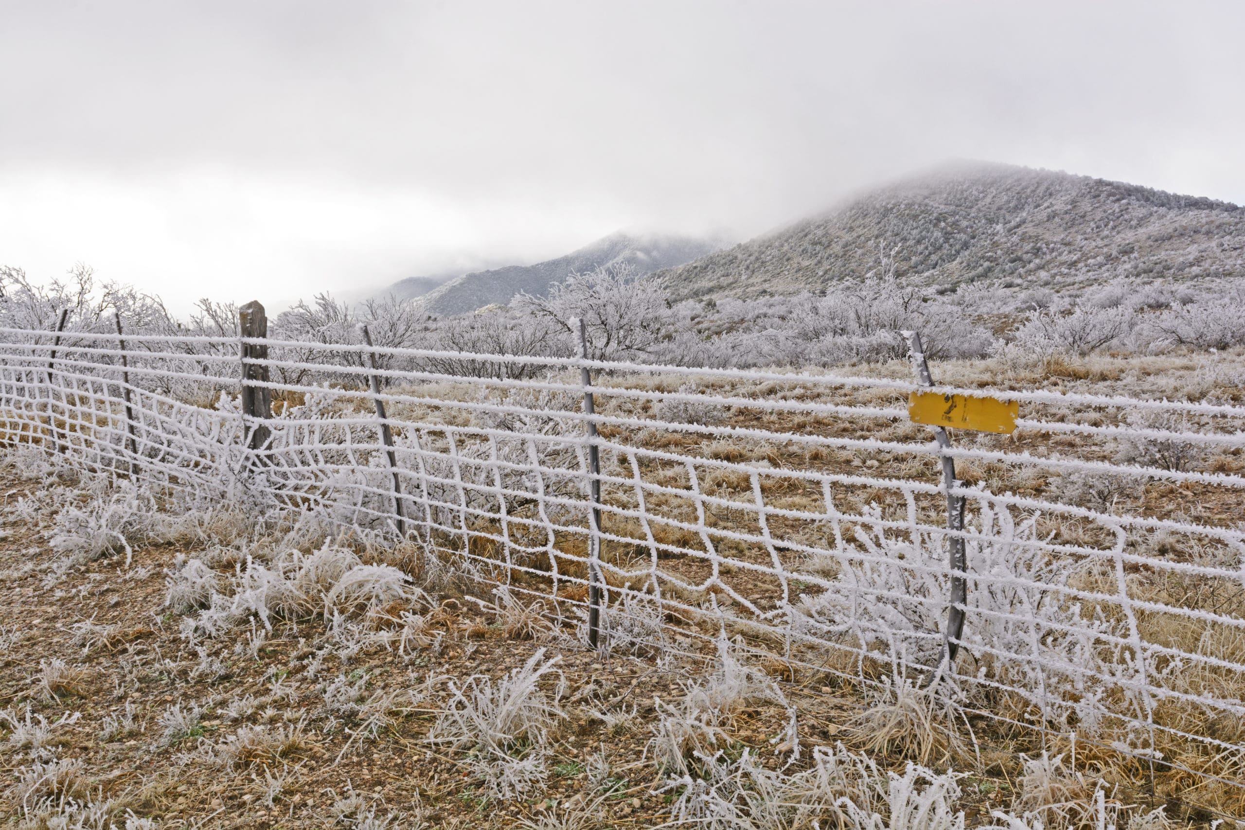 Texas ranch frozen over from winter storms