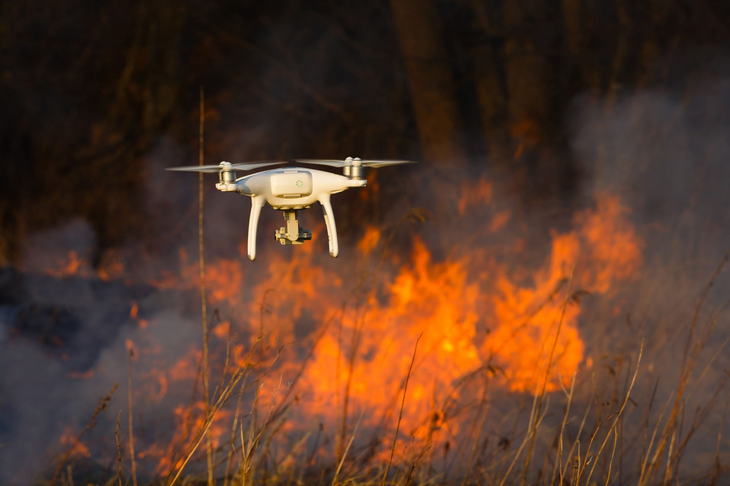 drone flies against the background of a spring forest fire